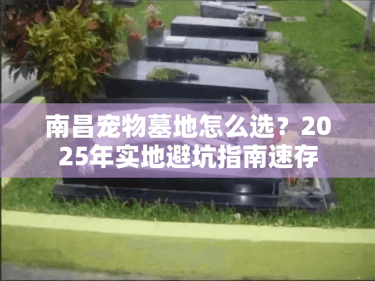 南昌宠物墓地怎么选?2025年实地避坑指南速存 南昌宠物墓地怎么选?2025年实地避坑指南速存