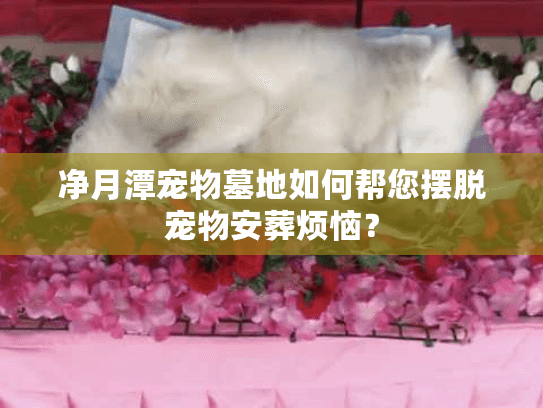 净月潭宠物墓地如何帮您摆脱宠物安葬烦恼？