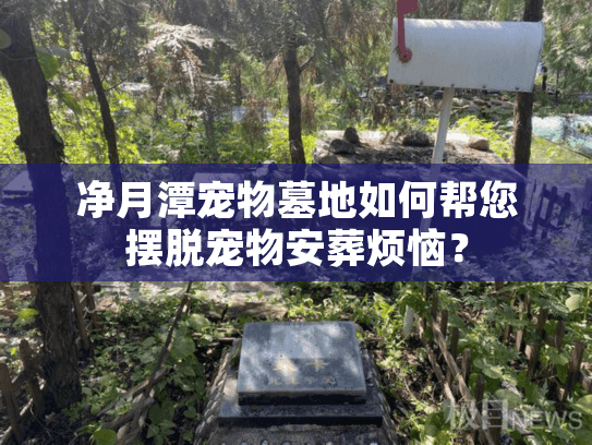 净月潭宠物墓地如何帮您摆脱宠物安葬烦恼？