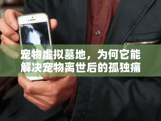 宠物虚拟墓地，为何它能解决宠物离世后的孤独痛点？