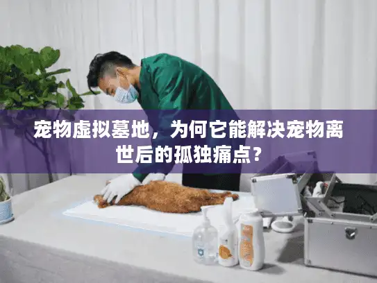 宠物虚拟墓地，为何它能解决宠物离世后的孤独痛点？