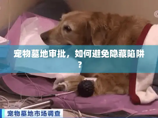 宠物墓地审批，如何避免隐藏陷阱？