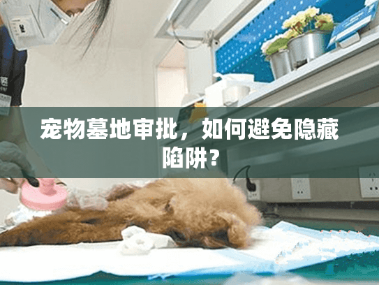 宠物墓地审批，如何避免隐藏陷阱？
