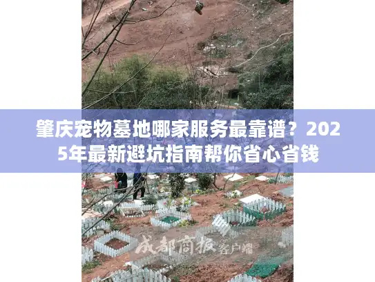 肇庆宠物墓地哪家服务最靠谱？2025年最新避坑指南帮你省心省钱