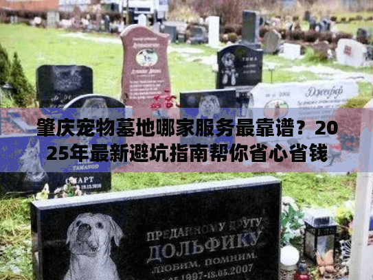 肇庆宠物墓地哪家服务最靠谱？2025年最新避坑指南帮你省心省钱