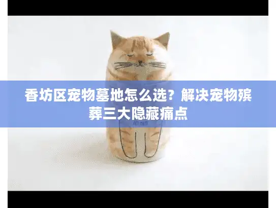 香坊区宠物墓地怎么选？解决宠物殡葬三大隐藏痛点