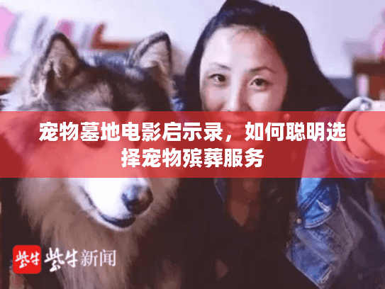 宠物墓地电影启示录，如何聪明选择宠物殡葬服务