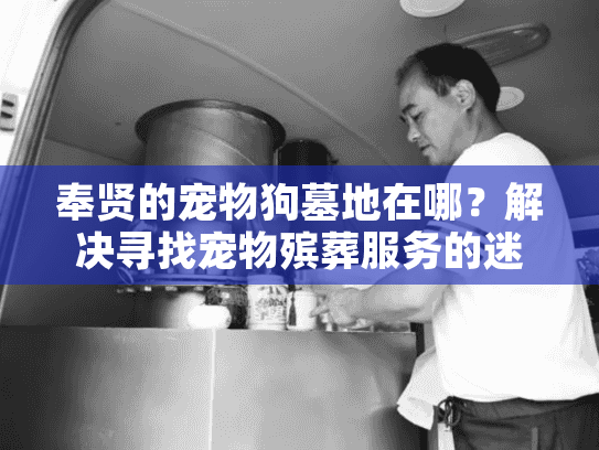 奉贤的宠物狗墓地在哪？解决寻找宠物殡葬服务的迷茫