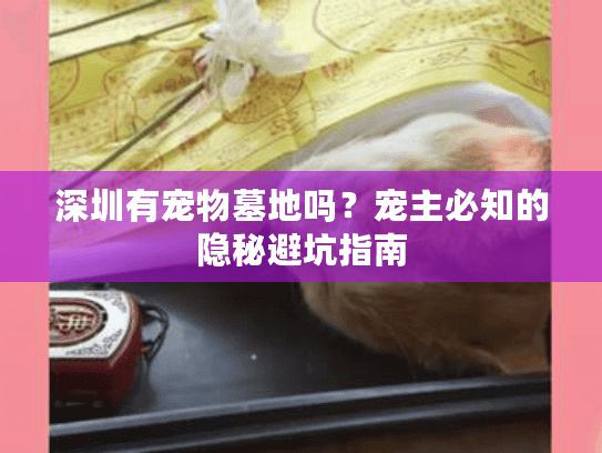 深圳有宠物墓地吗？宠主必知的隐秘避坑指南