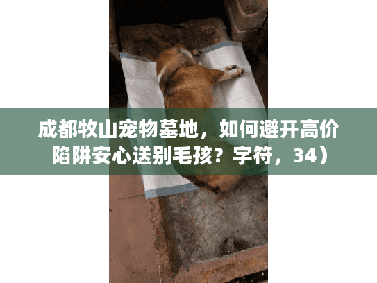 成都牧山宠物墓地，如何避开高价陷阱安心送别毛孩？字符，34）