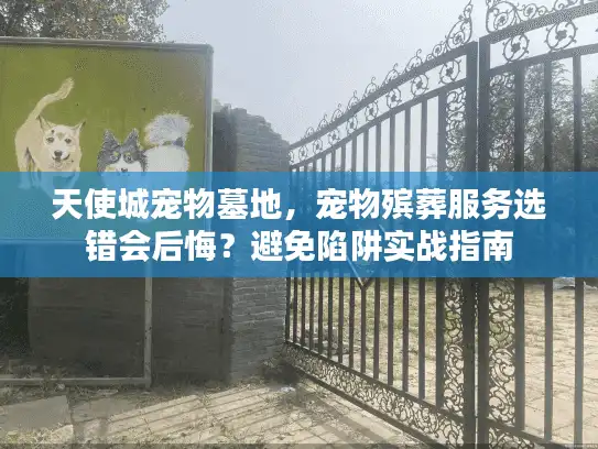 天使城宠物墓地，宠物殡葬服务选错会后悔？避免陷阱实战指南