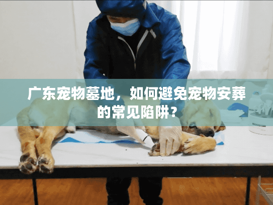广东宠物墓地，如何避免宠物安葬的常见陷阱？