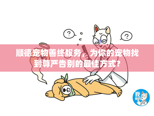 顺德宠物善终服务，为你的宠物找到尊严告别的最佳方式？