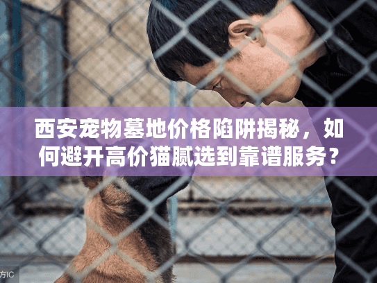 西安宠物墓地价格陷阱揭秘，如何避开高价猫腻选到靠谱服务？