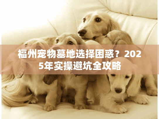 福州宠物墓地选择困惑?2025年实操避坑全攻略 福州宠物墓地选择困惑?2025年实操避坑全攻略