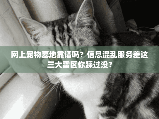 网上宠物墓地靠谱吗？信息混乱服务差这三大雷区你踩过没？