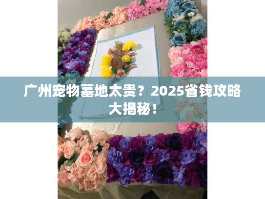 广州宠物墓地太贵？2025省钱攻略大揭秘！