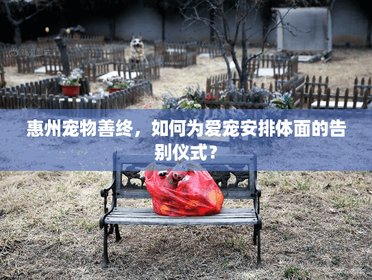 惠州宠物善终，如何为爱宠安排体面的告别仪式？