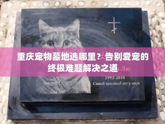 重庆宠物墓地选哪里?告别爱宠的终极难题解决之道 重庆宠物墓地选哪里?告别爱宠的终极难题解决之道