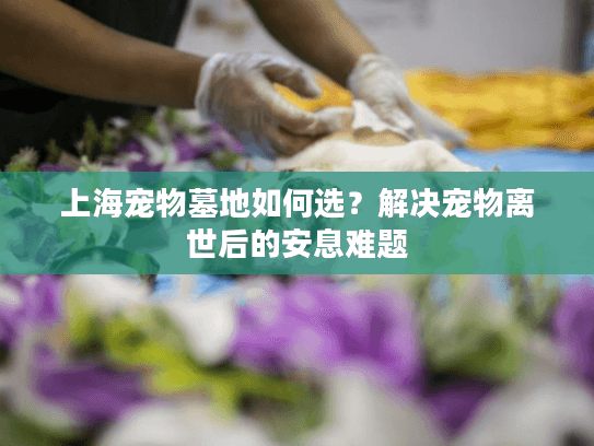 上海宠物墓地如何选？解决宠物离世后的安息难题
