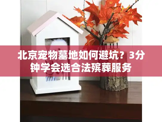 北京宠物墓地如何避坑?3分钟学会选合法殡葬服务 北京宠物墓地如何避坑?3分钟学会选合法殡葬服务