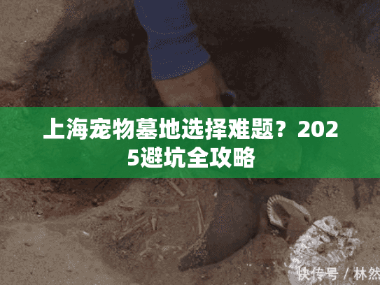 上海宠物墓地选择难题？2025避坑全攻略