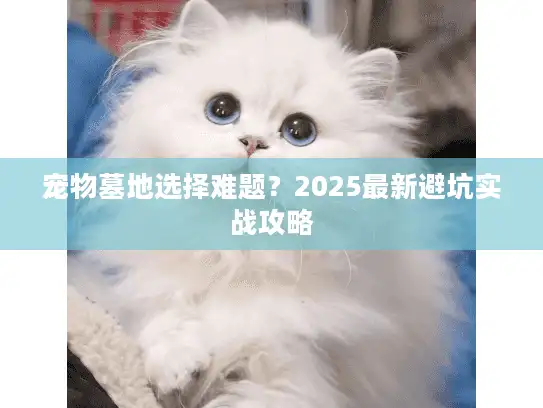 宠物墓地选择难题？2025最新避坑实战攻略