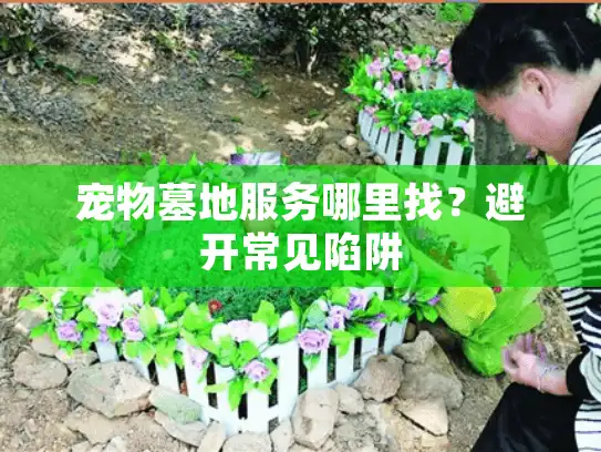 宠物墓地服务哪里找？避开常见陷阱