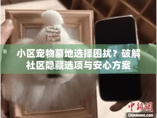 小区宠物墓地选择困扰？破解社区隐藏选项与安心方案