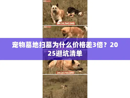 宠物墓地扫墓为什么价格差3倍?2025避坑清单 宠物墓地扫墓为什么价格差3倍?2025避坑清单