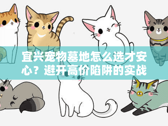 宜兴宠物墓地怎么选才安心？避开高价陷阱的实战手册