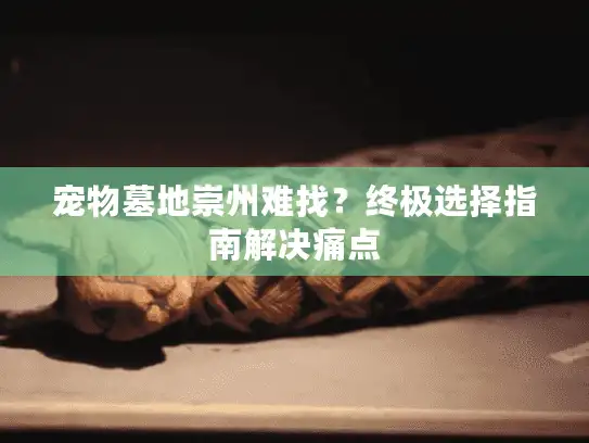 宠物墓地崇州难找?终极选择指南解决痛点 宠物墓地崇州难找?终极选择指南解决痛点