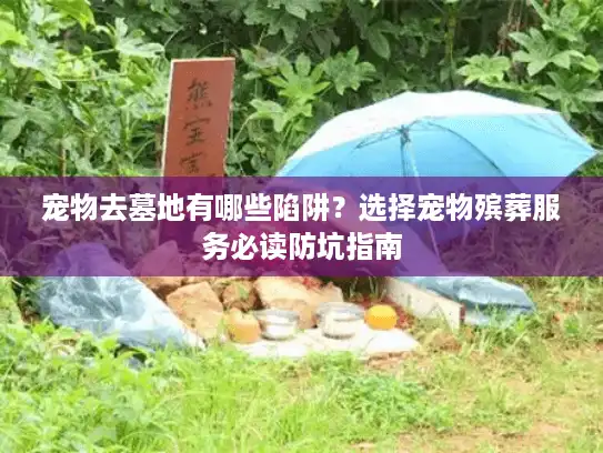 宠物去墓地有哪些陷阱？选择宠物殡葬服务必读防坑指南