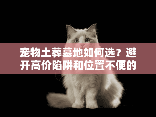 宠物土葬墓地如何选?避开高价陷阱和位置不便的实用方案 宠物土葬墓地如何选?避开高价陷阱和位置不便的实用方案