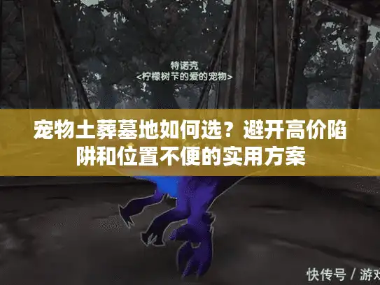 宠物土葬墓地如何选?避开高价陷阱和位置不便的实用方案 宠物土葬墓地如何选?避开高价陷阱和位置不便的实用方案