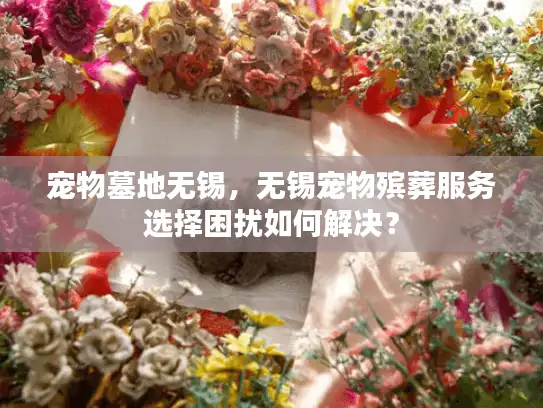 宠物墓地无锡，无锡宠物殡葬服务选择困扰如何解决？