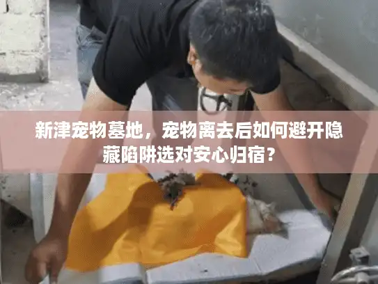 新津宠物墓地，宠物离去后如何避开隐藏陷阱选对安心归宿？