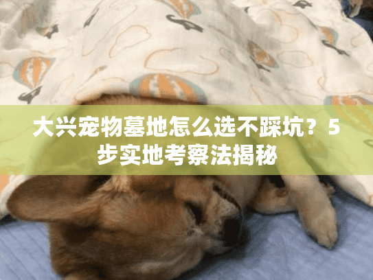 大兴宠物墓地怎么选不踩坑？5步实地考察法揭秘