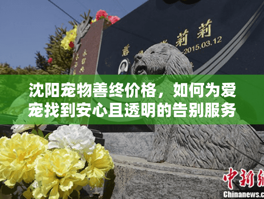 沈阳宠物善终价格,如何为爱宠找到安心且透明的告别服务? 沈阳宠物善终价格,如何为爱宠找到安心且透明的告别服务?
