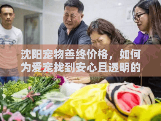 沈阳宠物善终价格,如何为爱宠找到安心且透明的告别服务? 沈阳宠物善终价格,如何为爱宠找到安心且透明的告别服务?