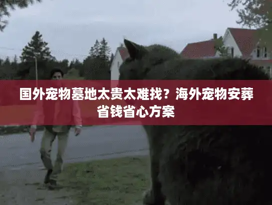 国外宠物墓地太贵太难找？海外宠物安葬省钱省心方案