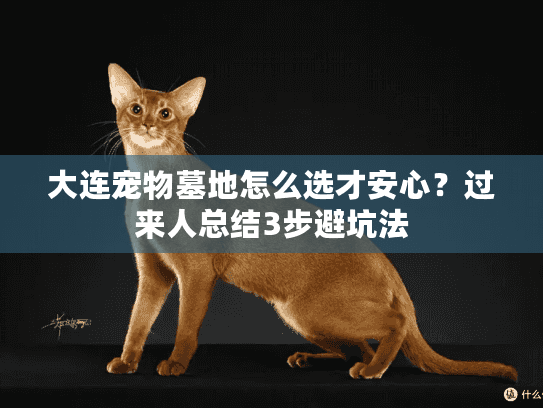 大连宠物墓地怎么选才安心？过来人总结3步避坑法