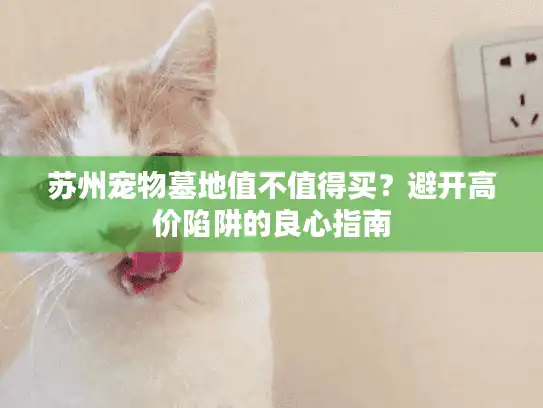 苏州宠物墓地值不值得买?避开高价陷阱的良心指南 苏州宠物墓地值不值得买?避开高价陷阱的良心指南