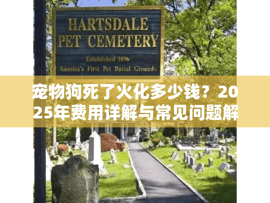宠物狗死了火化多少钱？2025年费用详解与常见问题解答