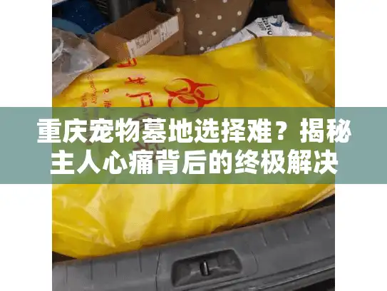 重庆宠物墓地选择难?揭秘主人心痛背后的终极解决方案 重庆宠物墓地选择难?揭秘主人心痛背后的终极解决方案