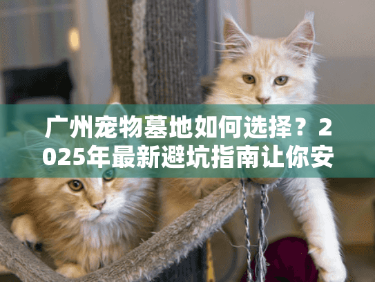 广州宠物墓地如何选择？2025年最新避坑指南让你安心告别爱宠