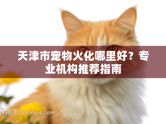 天津市宠物火化哪里好？专业机构推荐指南
