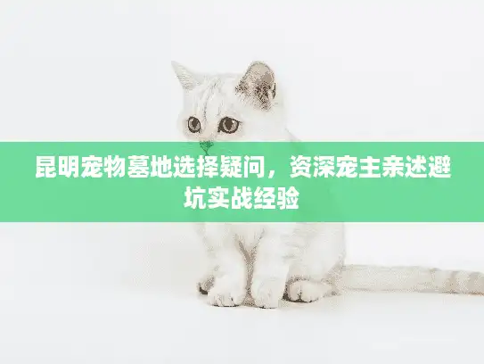 昆明宠物墓地选择疑问，资深宠主亲述避坑实战经验