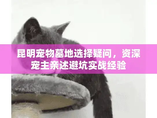 昆明宠物墓地选择疑问，资深宠主亲述避坑实战经验