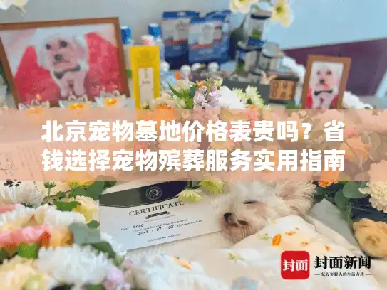 北京宠物墓地价格表贵吗？省钱选择宠物殡葬服务实用指南